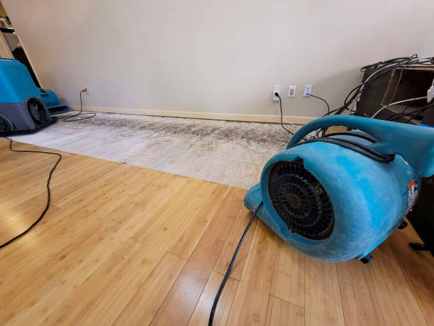 Professional Flood Damage Cleanup technician working in Bedford, NY